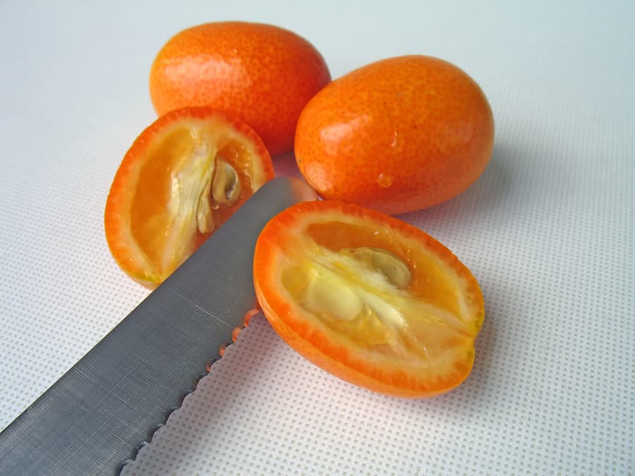 What is a kumquat?