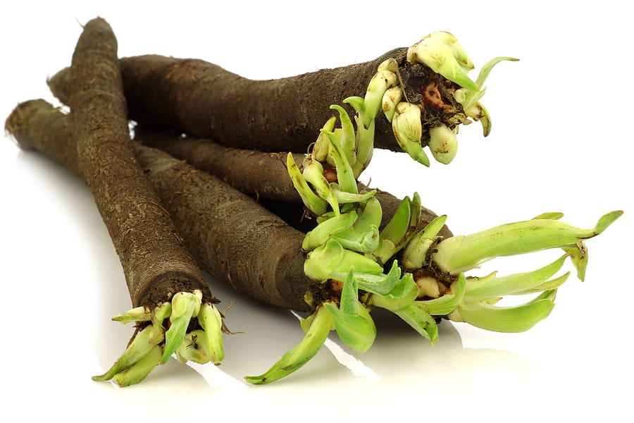 The Kitchen Root Vegetable Recipe The Kitchen Root Vegetable Recipe