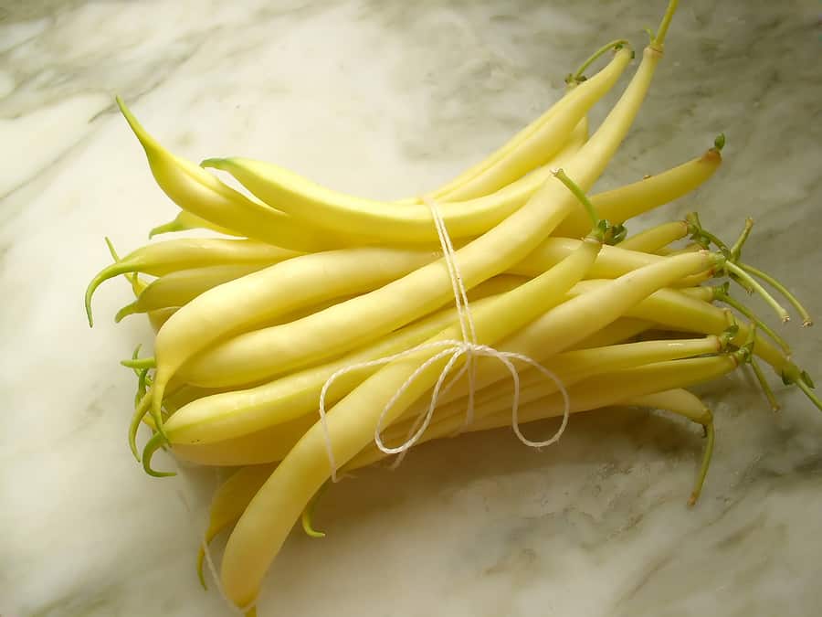 Wax Yellow Beans Wax Yellow Beans