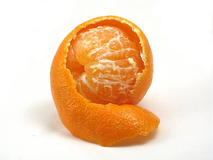 Mandarin orange in peel Harvest to Table