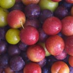 Plums: Kitchen Basics
