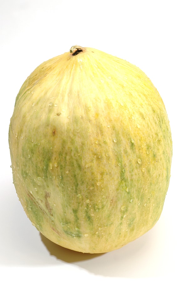 Crenshaw Melon 34