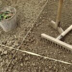 Vegetable Garden Planning