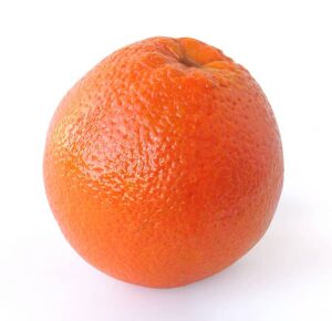 oranges sweet and bitter basics harvest to table