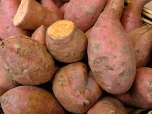 Sweet potato tubers