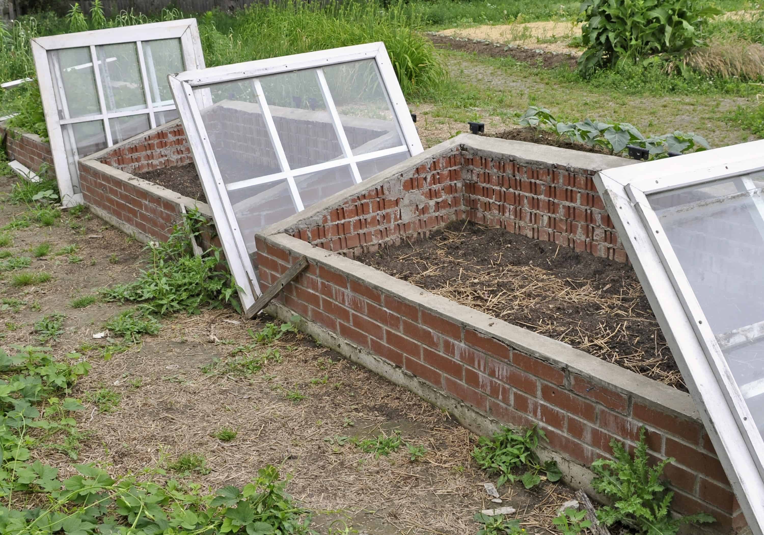 Making a Cold Frame - Harvest to Table
