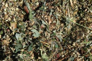 Composting greens and browns Composting greens and browns