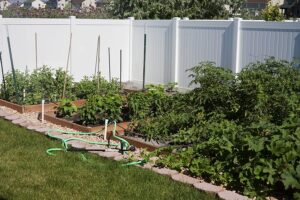 Garden beds warmed by reflected heat Garden beds warmed by reflected heat