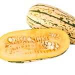 Squash Delicata Delicata squash