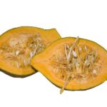 Squash Hubbard halves Hubbard squash