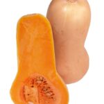 Squash butternut Butternut squash