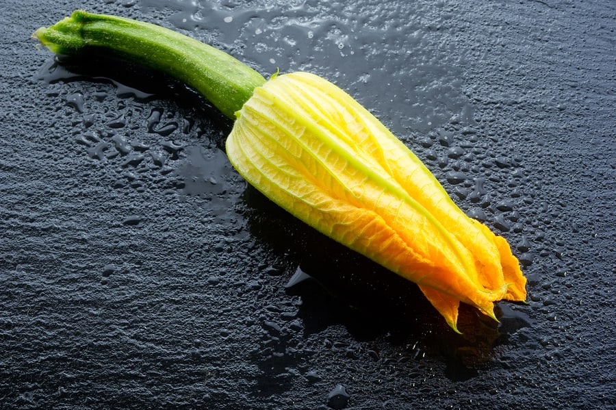 Squash blossom Female squash blossom
