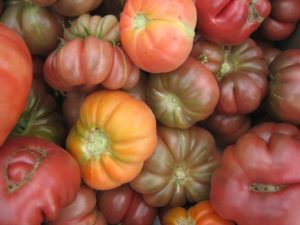 Purple Calabash tomatoes