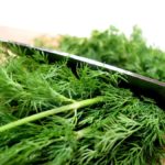 Dill in kitchen